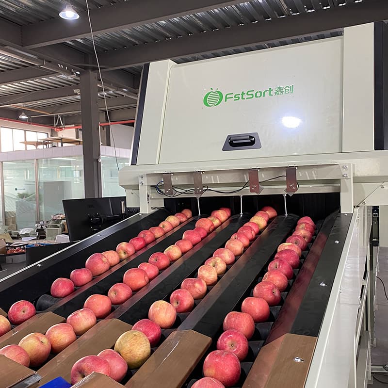 images/1691048435878optical apple sorter.jpg